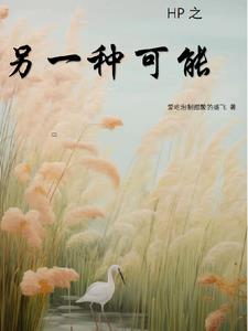 HP之另一种可能HP之另一种可能